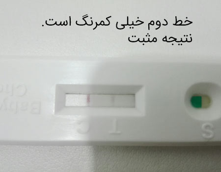 بی بی چک هاله دار