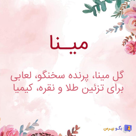 معنی مینا چیست