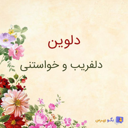 عکس معنی دلوین