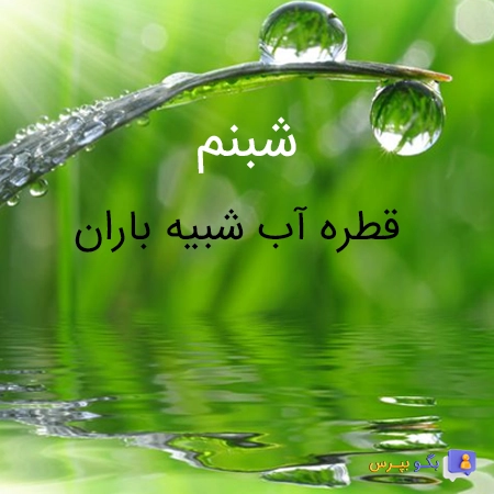 معنی اسم شبنم