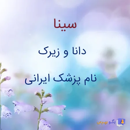 معنی اسم سینا